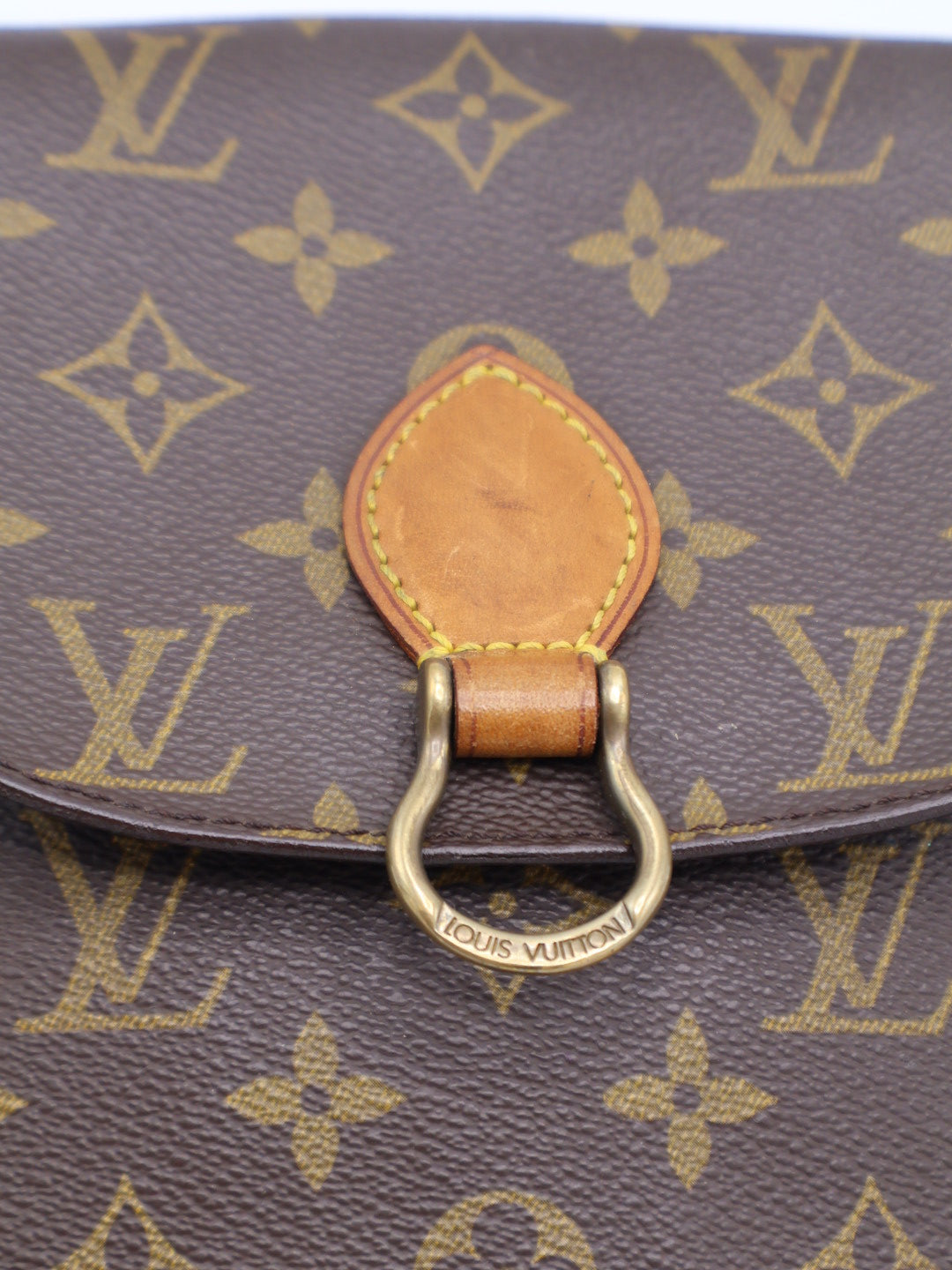 LOUIS VUITTON SAINT CLOUD PM