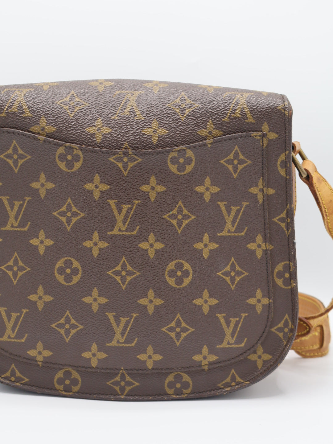 LOUIS VUITTON SAINT CLOUD GM
