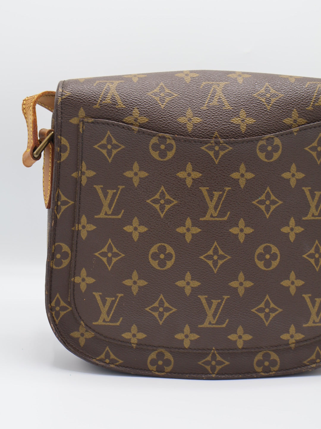 LOUIS VUITTON SAINT CLOUD GM