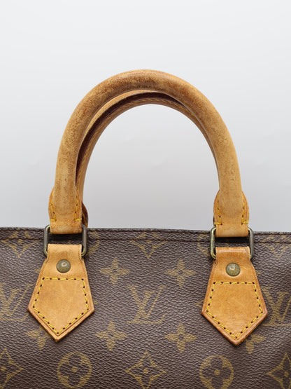 LOIS VUITTON SPEEDY 25